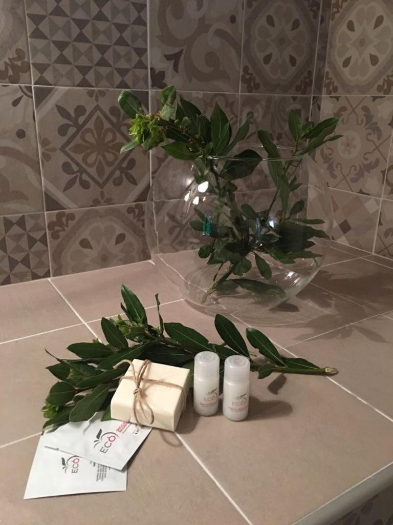 Apartamento Il Giuggiolo Montalcino Exterior foto