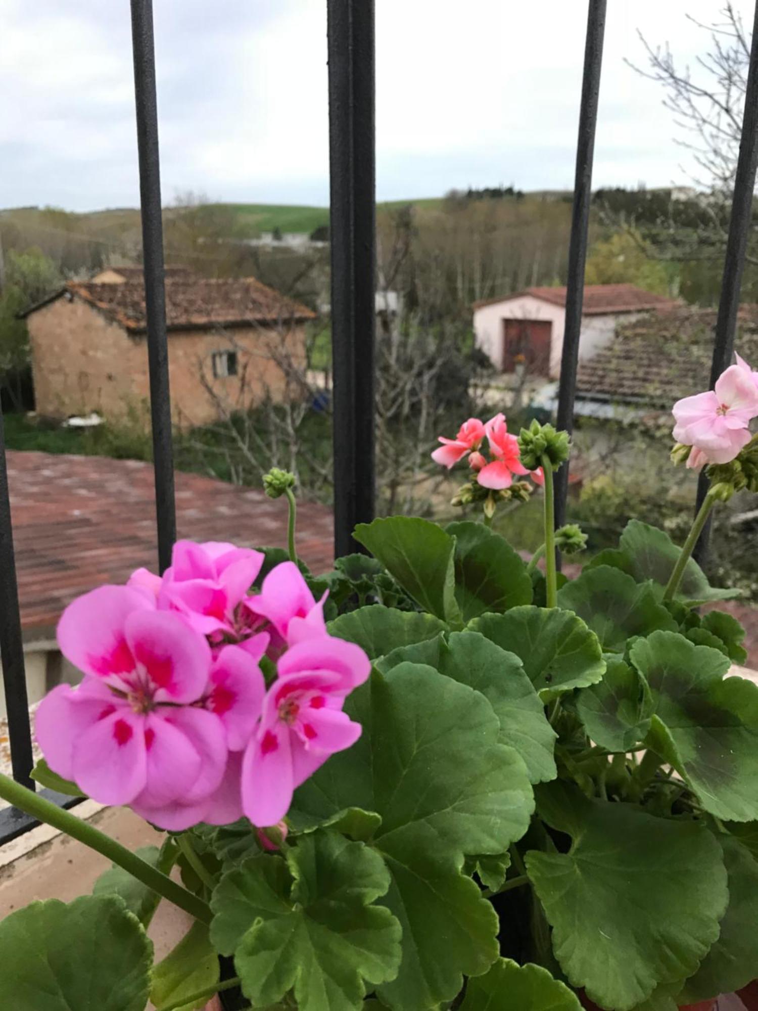 Apartamento Il Giuggiolo Montalcino Exterior foto