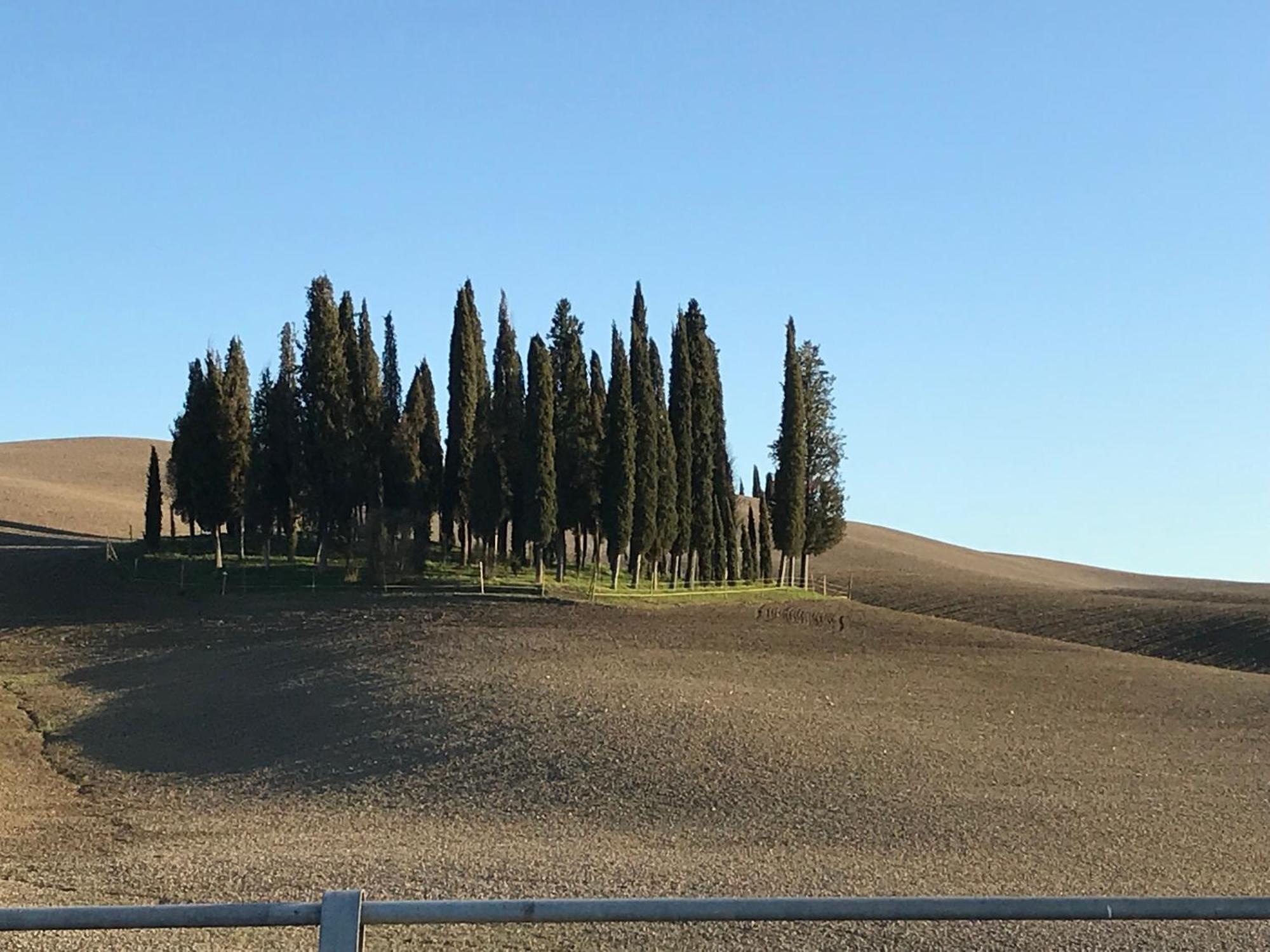Apartamento Il Giuggiolo Montalcino Exterior foto